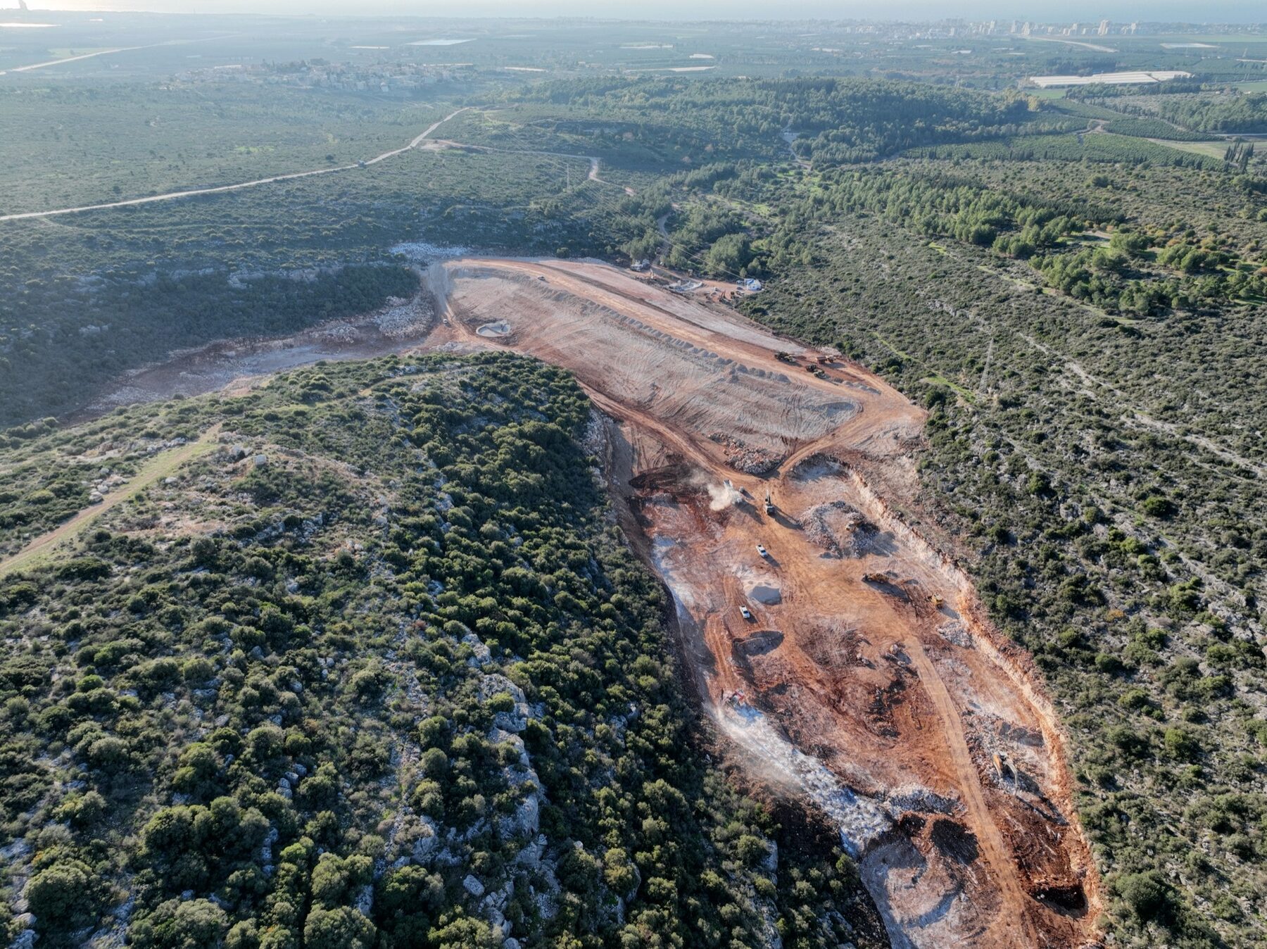 Site clearing in forest terrain
