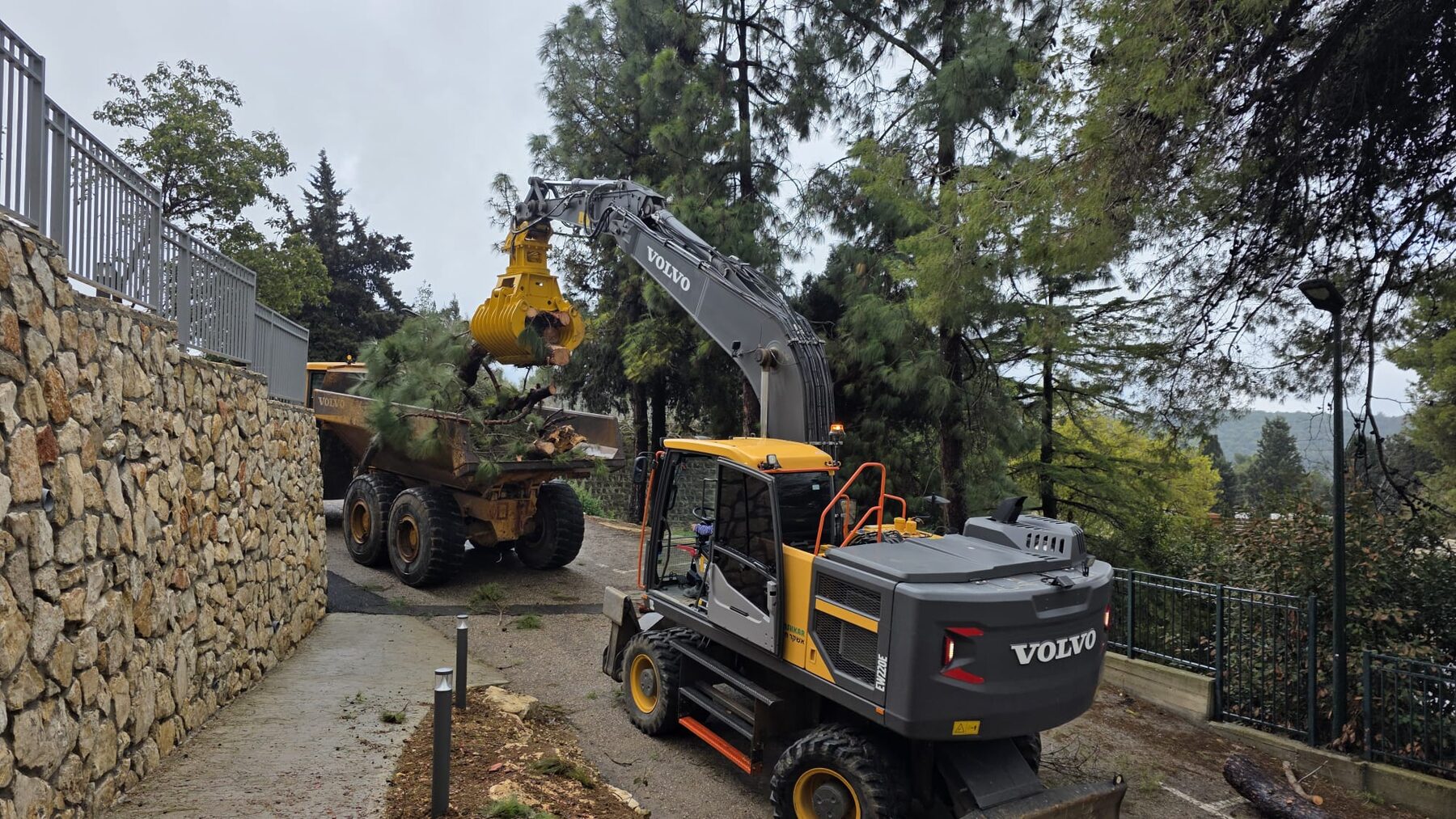 Wheeled excavator with grapple clearing storm-damaged pines on a hillside path